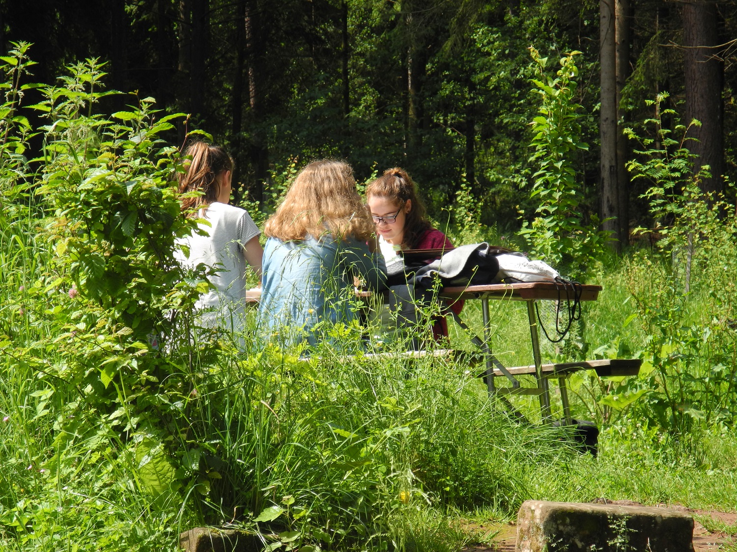 Waldjugendspiele-2016-8