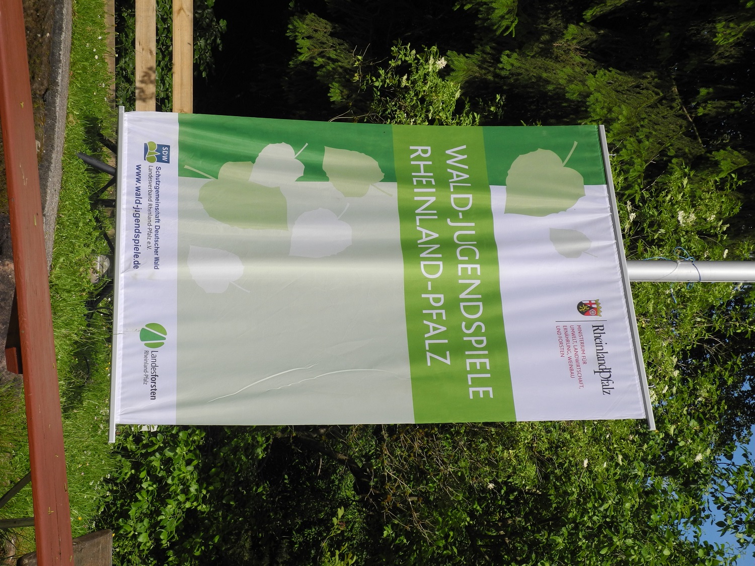 Waldjugendspiele-2016-6