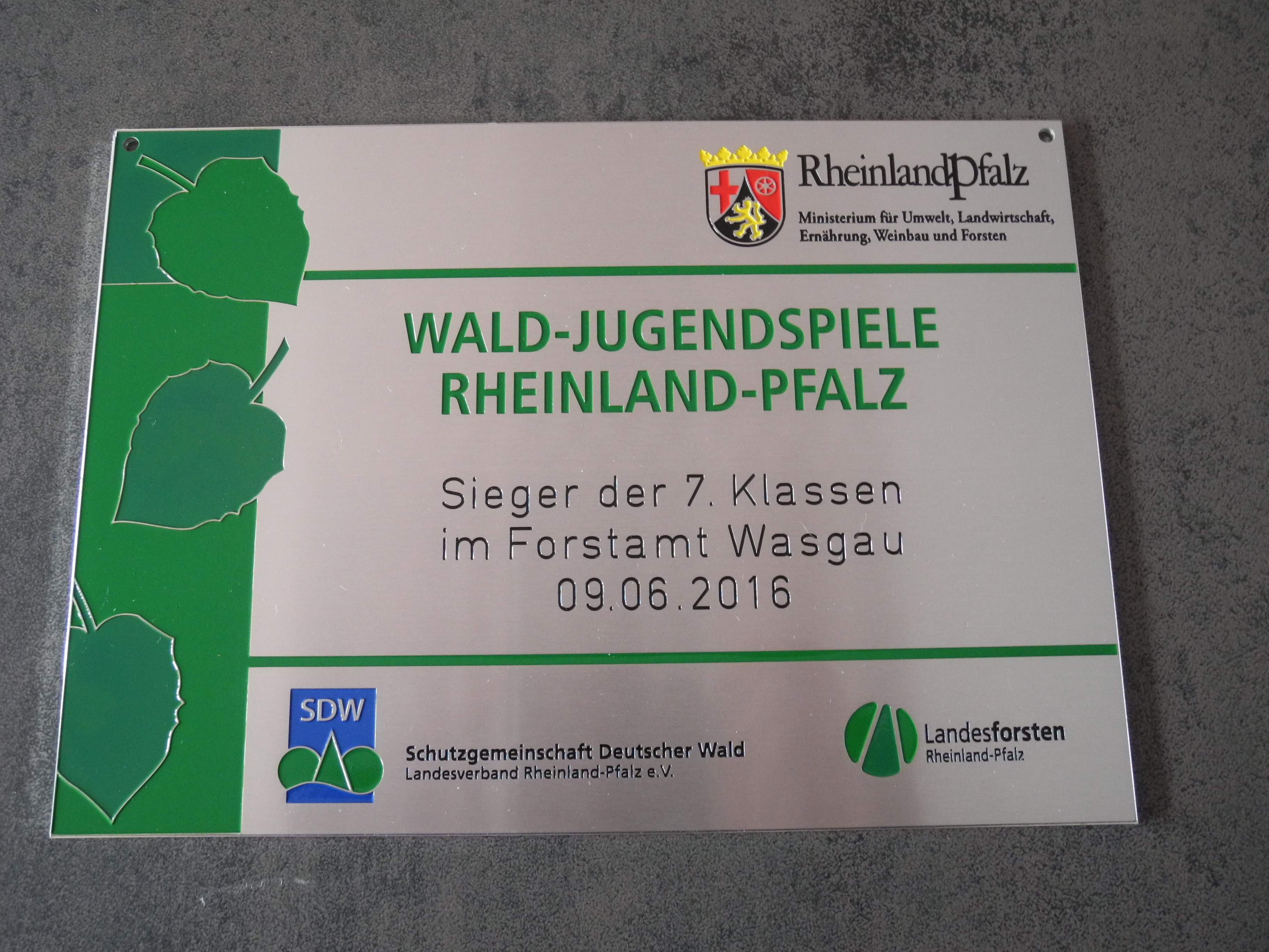 Waldjugendspiele-2016-2