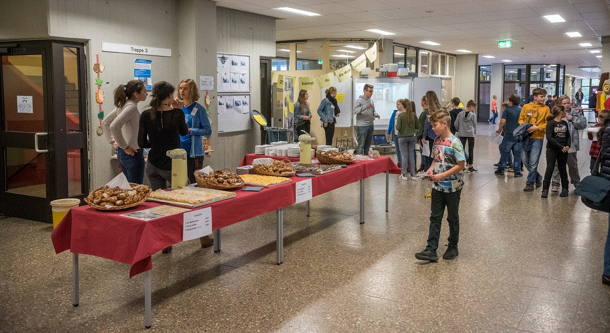 Infoveranstaltung-Grundschule-2017-6
