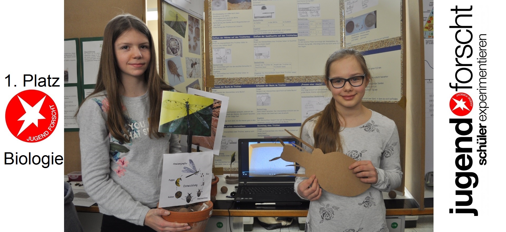 jufo-2018-ameisenlöwe-homepage -