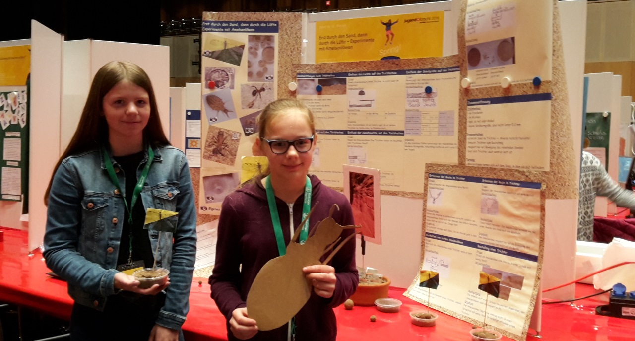 SchüExp-2018-Ingelheim-Ameisenlöwe