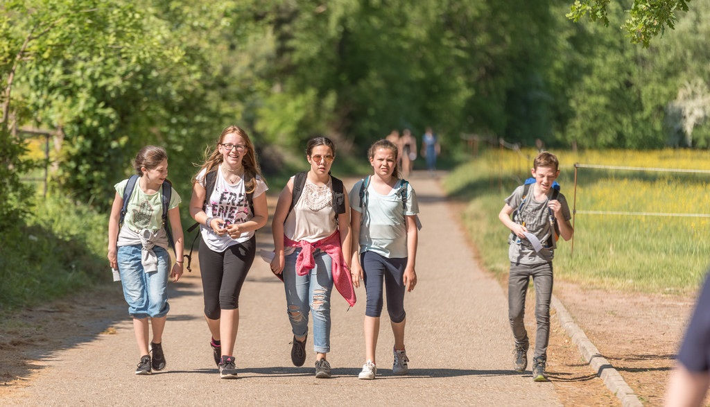 sponsored-walk-2018-11