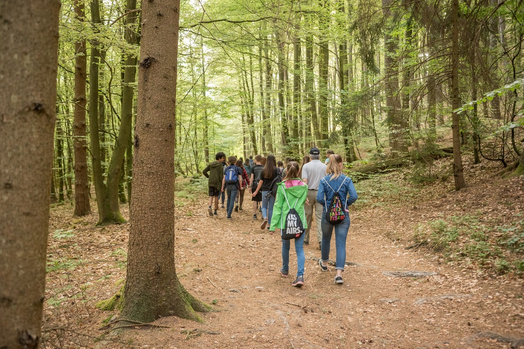 sponsored-walk-2018-3