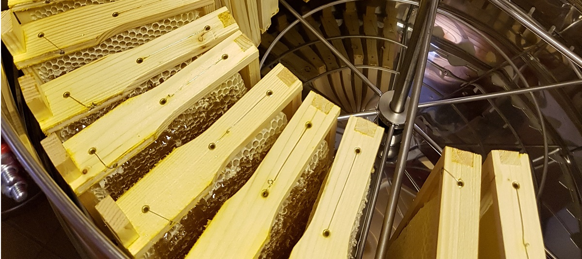 Bienen-AG-erster-Honig 2020-4